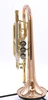 Pre-Owned Getzen 800DLX Eterna Bb Cornet in Clear Lacquer 