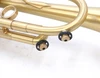 Bell Trumpets BT7-352-470Y Trumpet in Satin Lacquer 