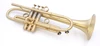Bell Trumpets BT7-352-470Y Trumpet in Satin Lacquer 