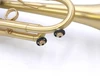 Bell Trumpets BT7-352-470Y Trumpet in Satin  Lacquer 