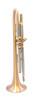Bell Trumpets BT7-349-850G Trumpet in Satin Lacquer 