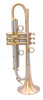 Bell Trumpets BT7-349-850G Trumpet in Satin Lacquer 