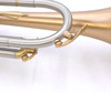 Bell Trumpets BT7-349-850G Trumpet in Satin Lacquer 
