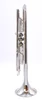 Bell Trumpets BT3-350-370G Trumpet in Silver Plate 