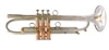 Pre-Owned AR Resonance Feroce in Raw Nickel