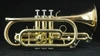 Closeout sale!  Manchester Professional Bb Cornet with Gold Brass Bell