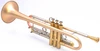 The Incredible Martin Böhme Tumultus NYC Trumpet