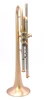 The Incredible Martin Böhme Tumultus NYC Trumpet