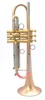 The Incredible Martin Böhme Tumultus NYC Trumpet