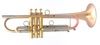 The Incredible Martin Böhme Tumultus NYC Trumpet