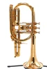 Pre-Owned Early Schagerl "Raven" Trumpet in Gold Plate