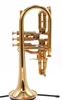 Pre-Owned Early Schagerl "Raven" Trumpet in Gold Plate