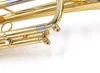 Pre-Owned Carolbrass BMAC Gen II Trumpet in Clear Lacquer