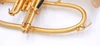 Trent's Bell Trumpets Axis Flugelhorn w/ Copper Bell in Gold Lacquer 