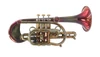 Trent's Del Quadro Picasso Cornet in Lacquered Tarnished Acid Finish