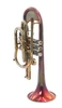Trent's Del Quadro Picasso Cornet in Lacquered Tarnished Acid Finish
