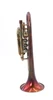 Trent's Del Quadro Picasso Cornet in Lacquered Tarnished Acid Finish