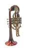 Trent's Del Quadro Picasso Cornet in Lacquered Tarnished Acid Finish