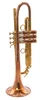 From Trent's Quiver! Bell BT9-345-370C Trumpet in Raw Brass 