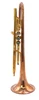 From Trent's Quiver! Bell BT9-345-370C Trumpet in Raw Brass 
