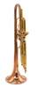 From Trent's Quiver! Bell BT9-345-370C Trumpet in Raw Brass 