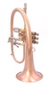 AR Resonance Sipiagin Flugelhorn in lacquer!  A work of art!! 