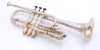 1915 Holton Revelation Cornet in Silver Plate: Closet Queen (full kit)