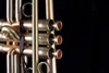 Custom Adams A3 Trumpet:  Build your Own