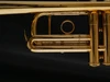 Custom Adams C1 Trumpet: Build Your Own