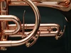 Adams Custom Cornet: Build Your Own