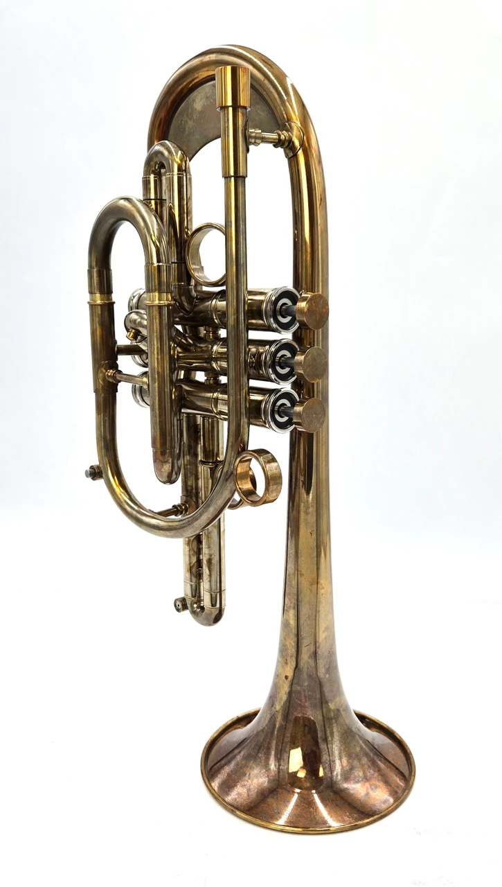 The amazing Del Quadro  Picasso cornet  