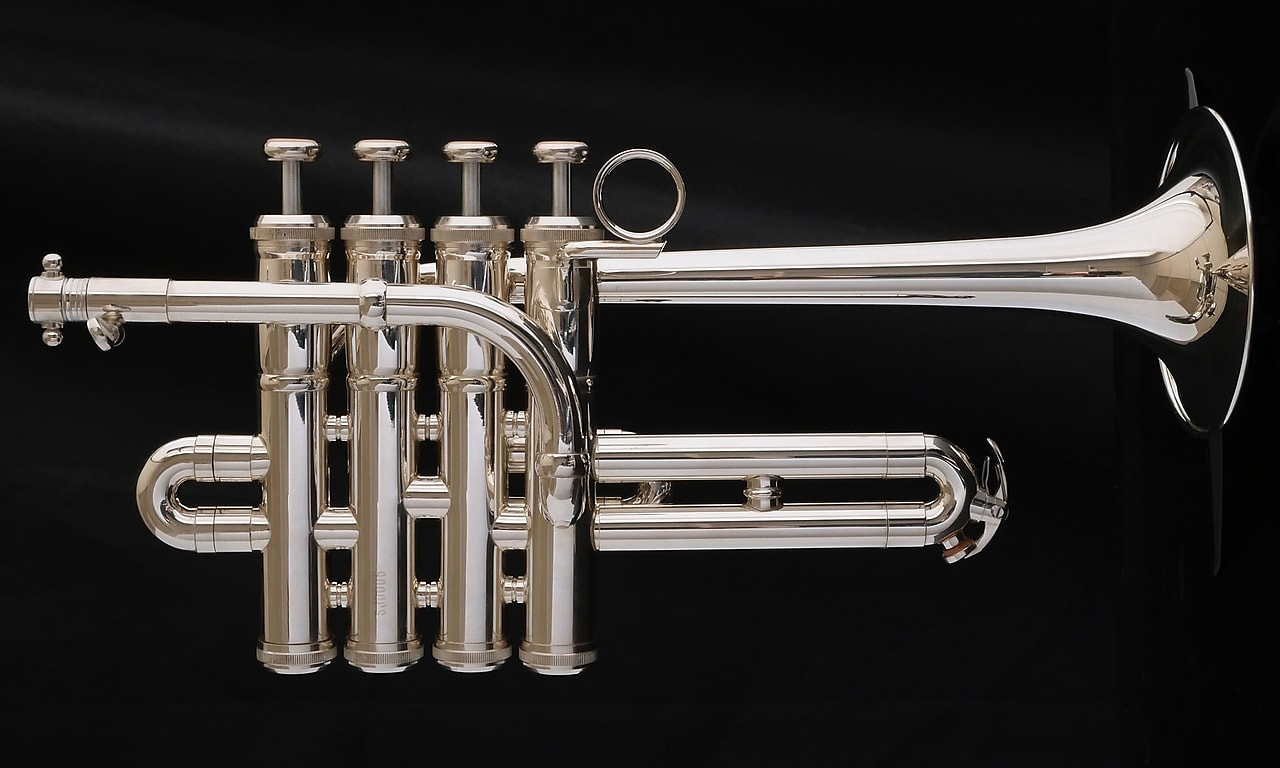 Piccolo trumpet shop for sale