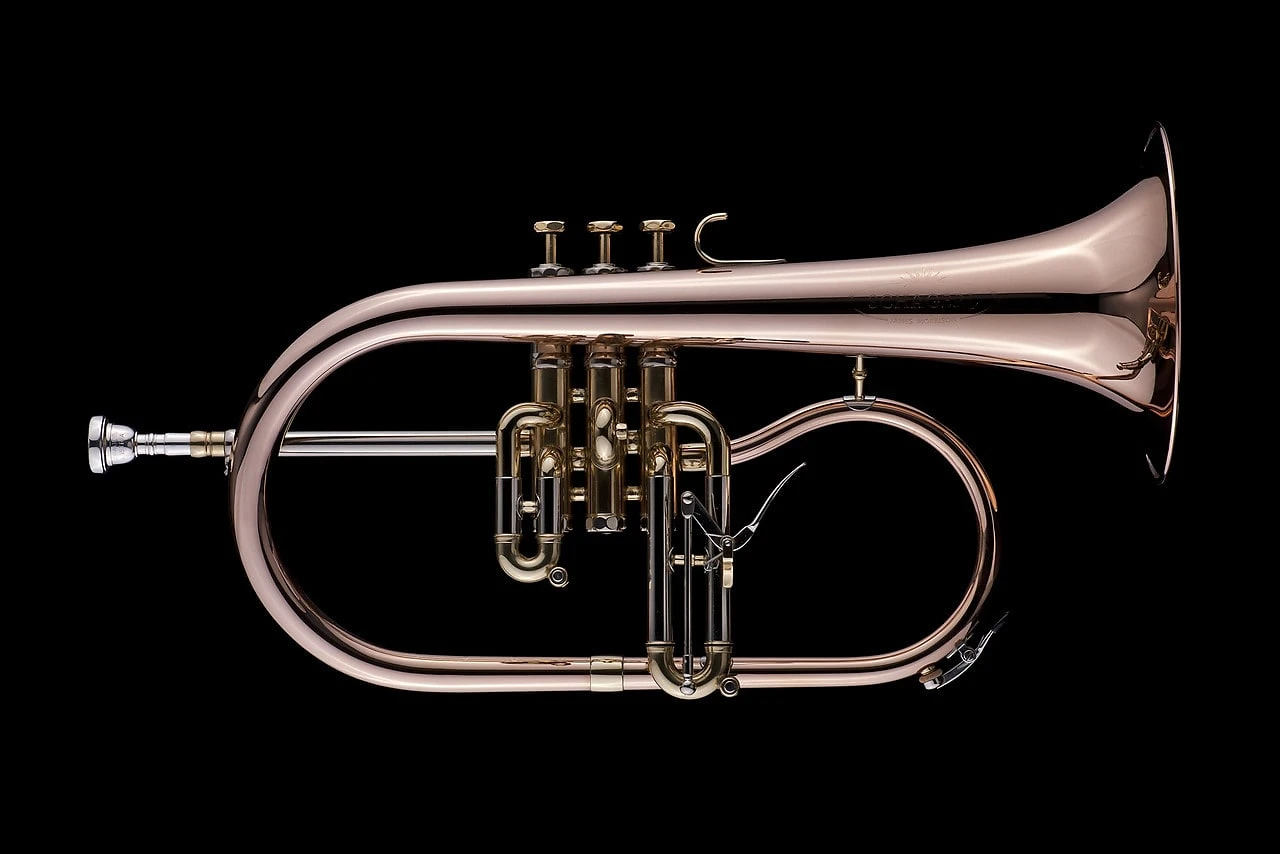 Schagerl James Morrison Flugelhorn: Build Your Own!