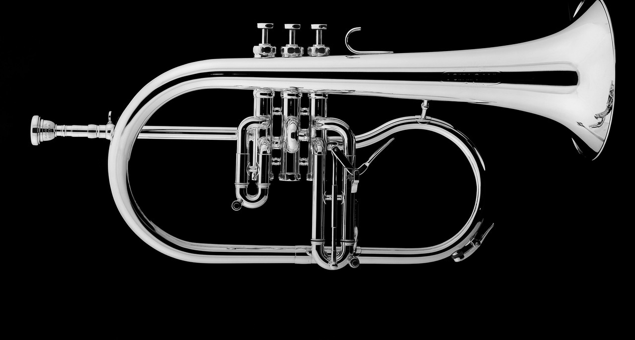 Schagerl Dione Flugelhorn: Build Your Own! Schagerl Dione FH Build