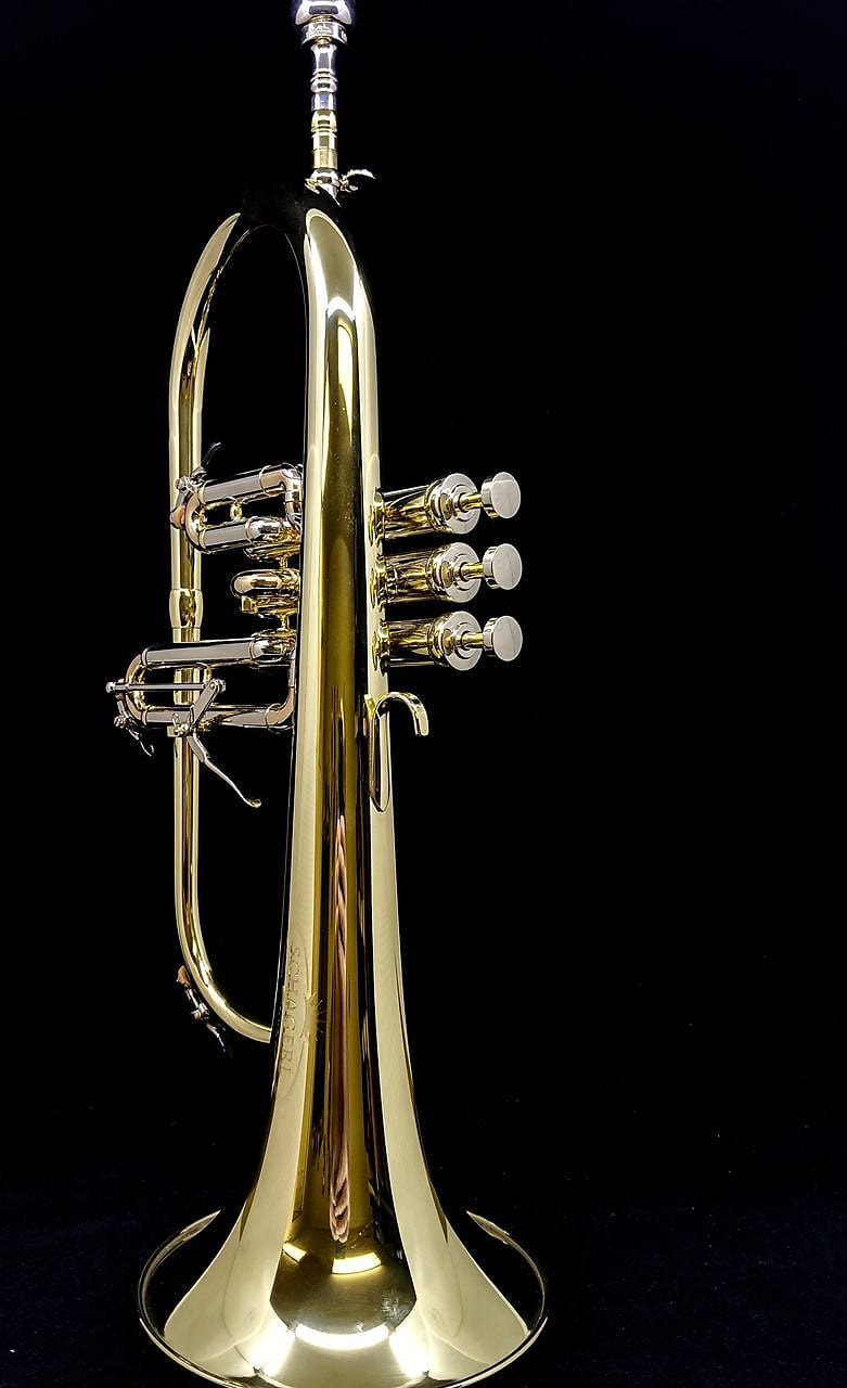 Schagerl Dione Flugelhorn: Build Your Own! Schagerl Dione FH Build