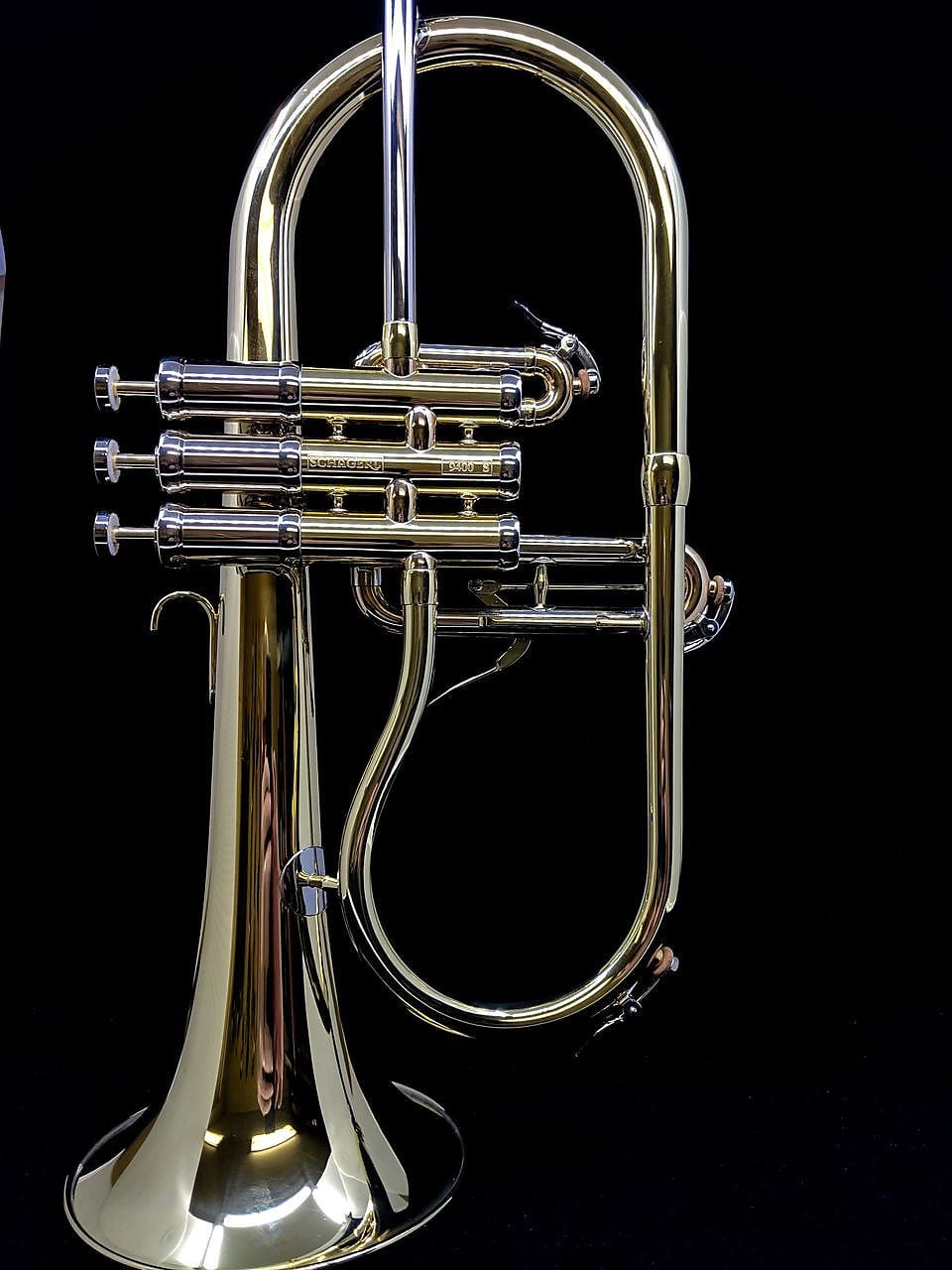 Schagerl Dione Flugelhorn: Build Your Own! Schagerl Dione FH Build