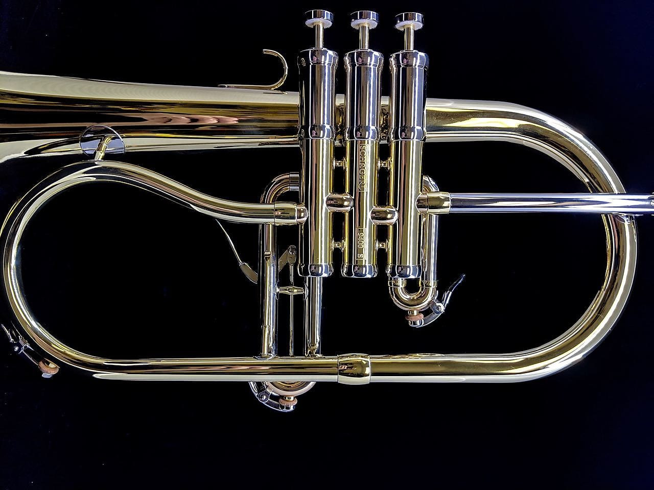 Schagerl Dione Flugelhorn: Build Your Own! Schagerl Dione FH Build