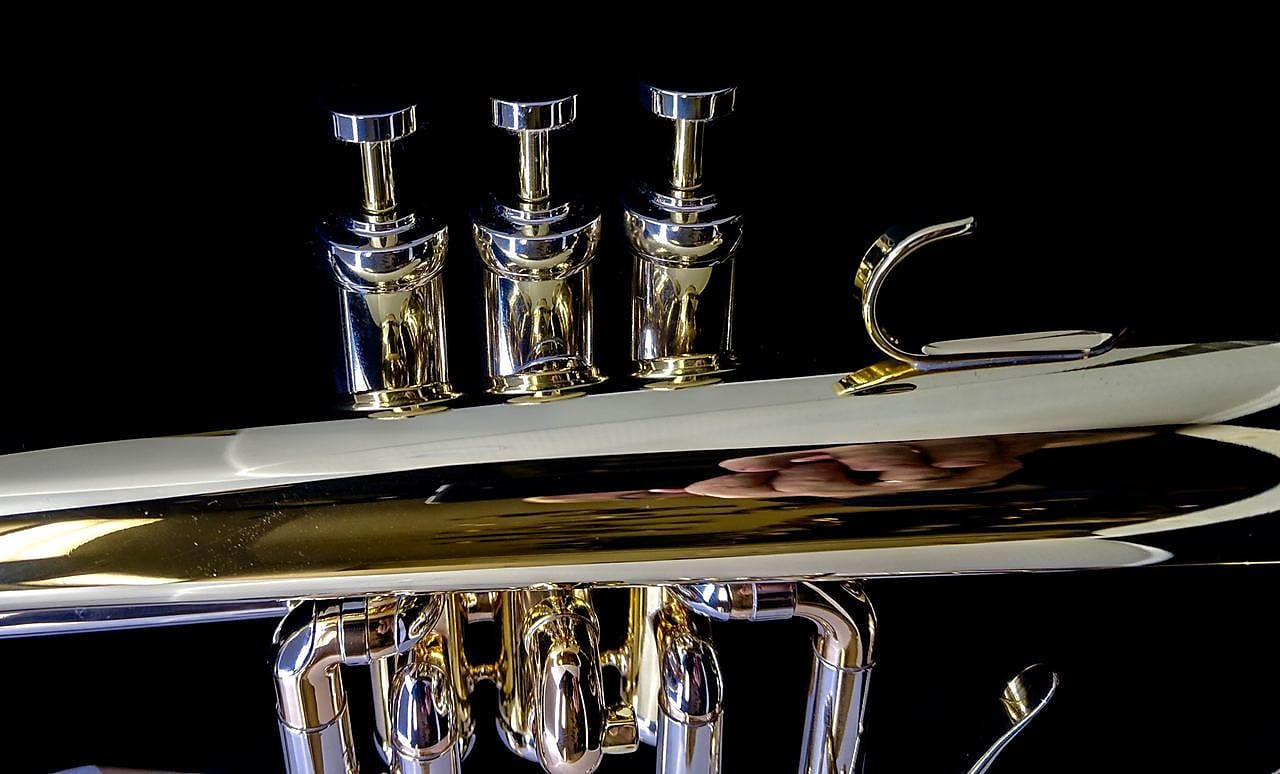 Schagerl Dione Flugelhorn: Build Your Own!