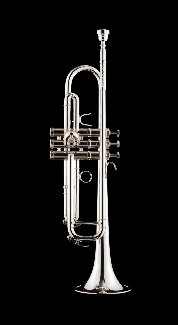 t*n様 【超希少！】ALEMBIC Custom CMSB 4st t*n様 【超希少！】ALEMBIC Custom CMSB 4st ALEMBIC SSB / Series II