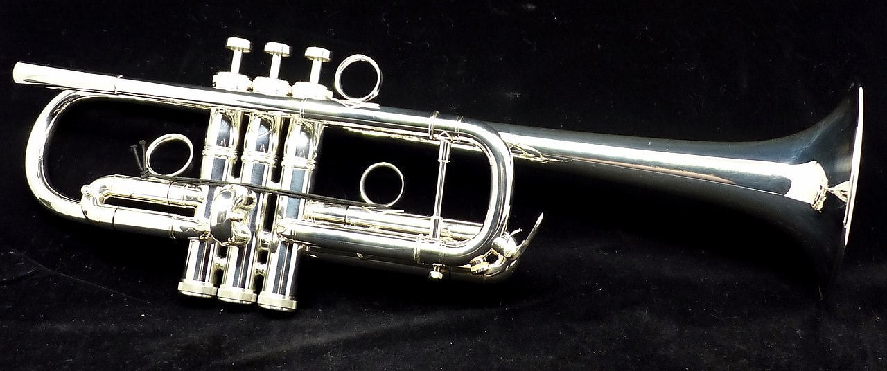 Starter C Trumpet Bundle! Includes silver plated Brasspire 1000S C, ACB  mouthpiece, DW Straight mute, and stand!