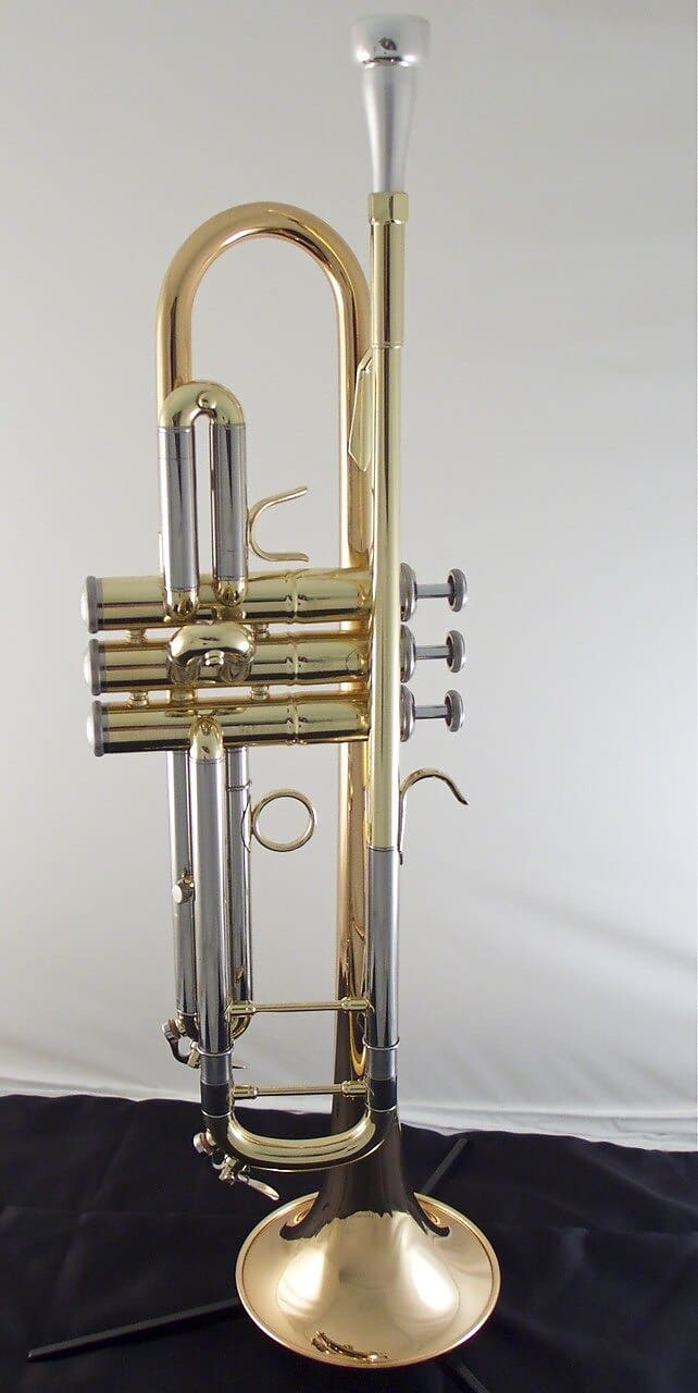 Manchester Brass Professional Bb Trumpet in Clear Lacquer with Gold Brass  Bell