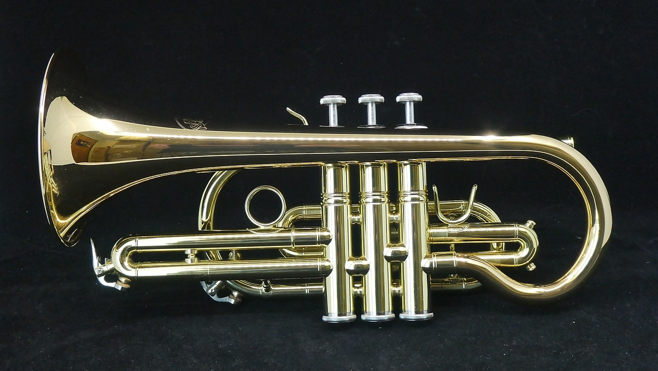 The Wonderful Manchester Professional Cornet With Gold Brass Bell Austin Custom Brass Web Store