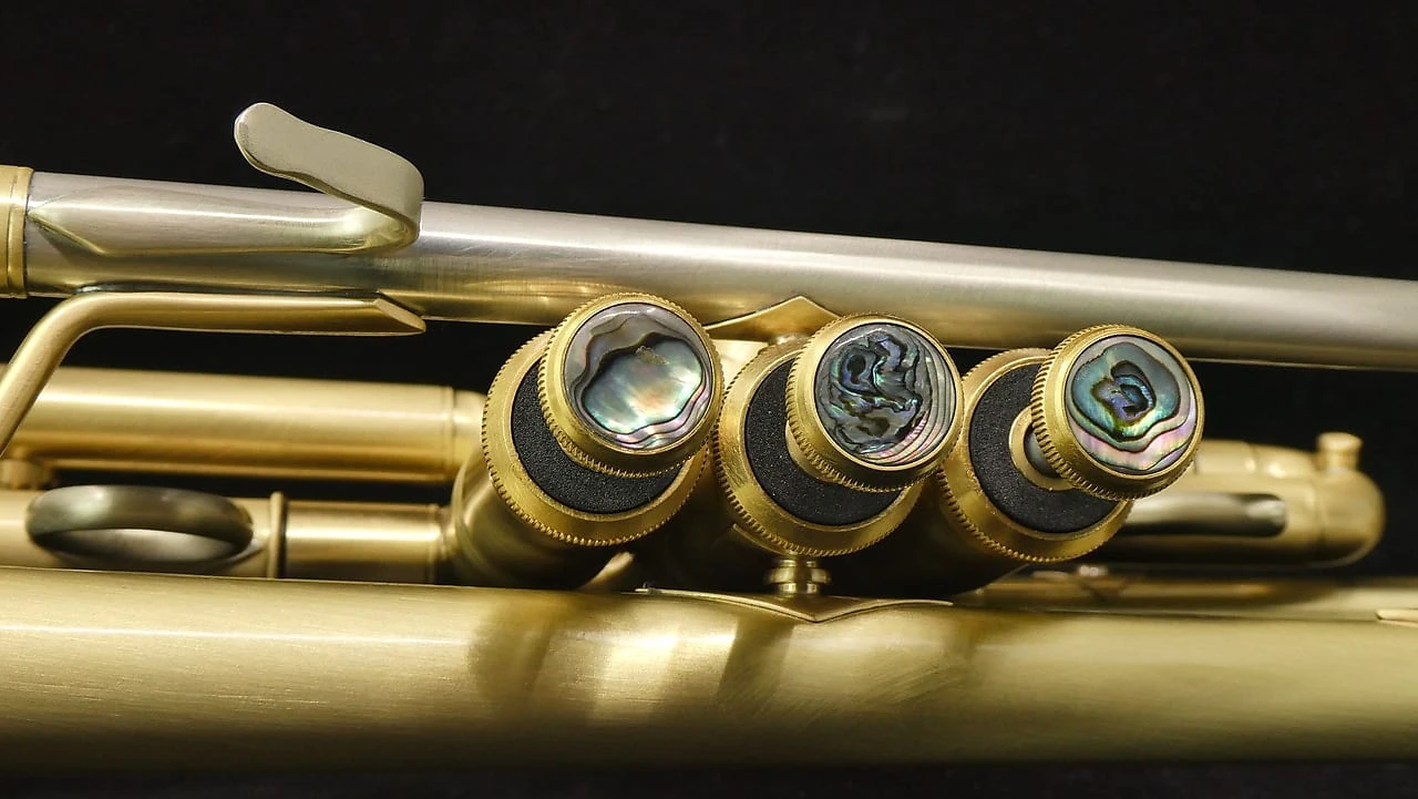 ACB Model 2RL Pro Trumpet in Brushed Satin Lacquer!