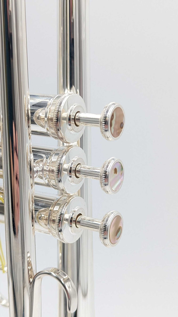 Brand New Schagerl 1961 B2N Trumpet in silver plate: Amazing