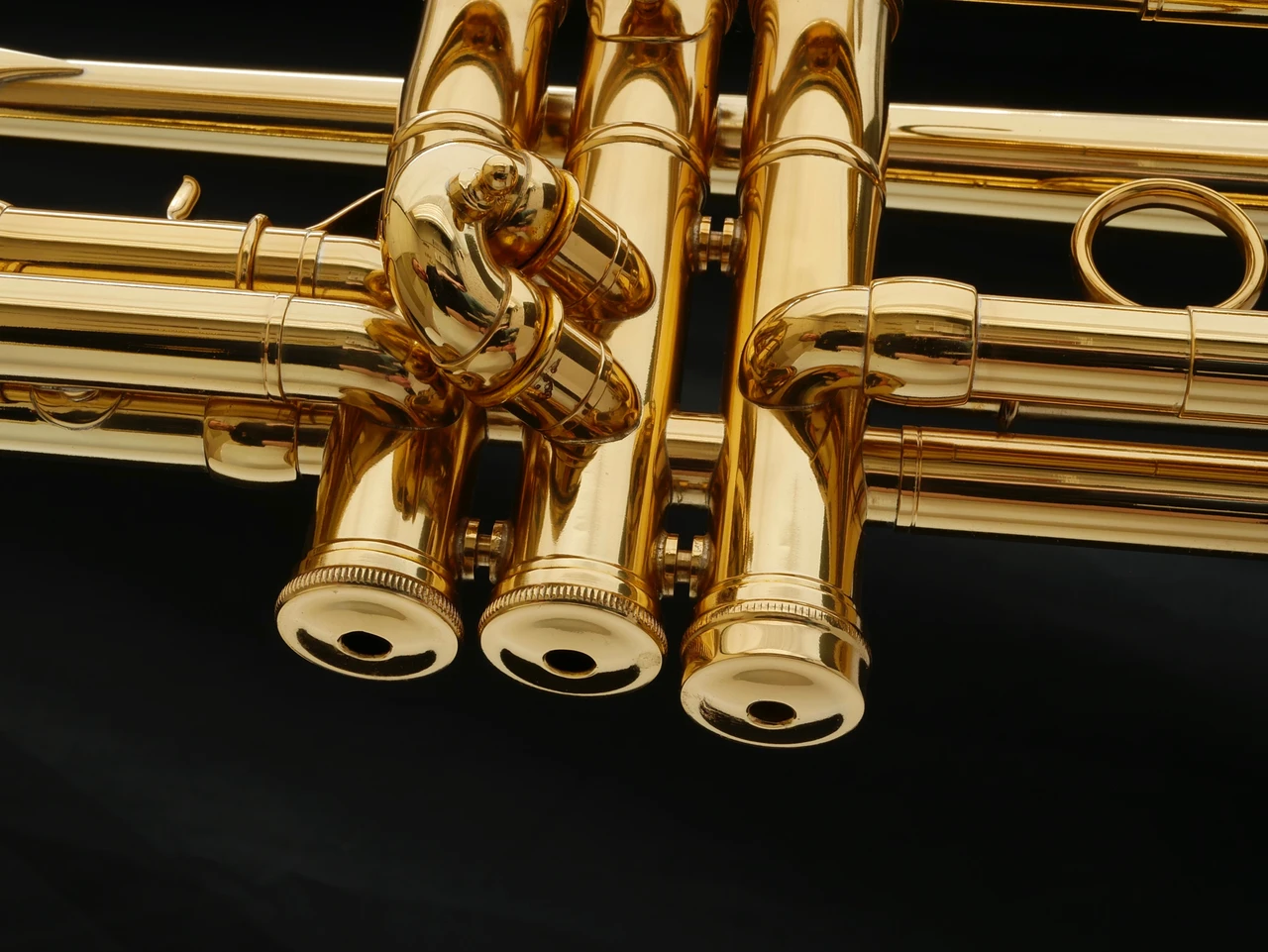 Adams A5 Selected Series trumpet in gold lacquer bottom valve caps