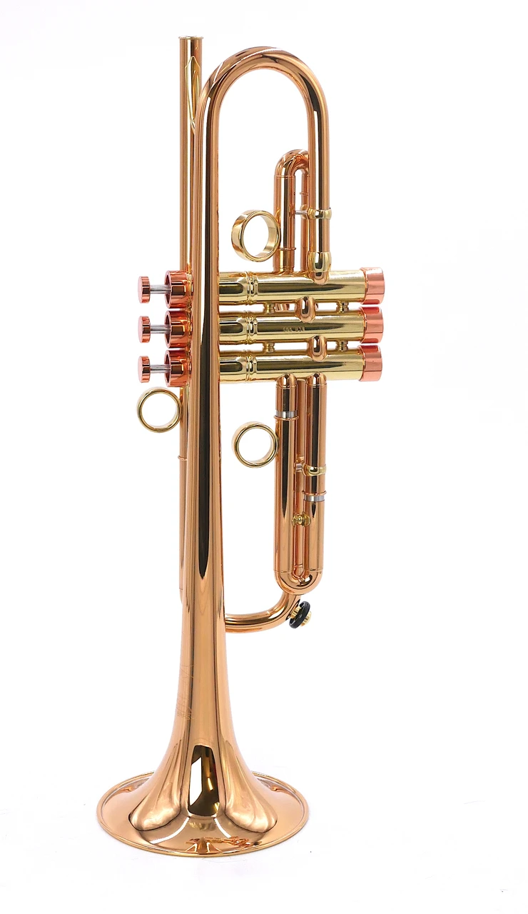 ACB by CarolBrass  TT  Trumpet: Magnificent quality and playability! 