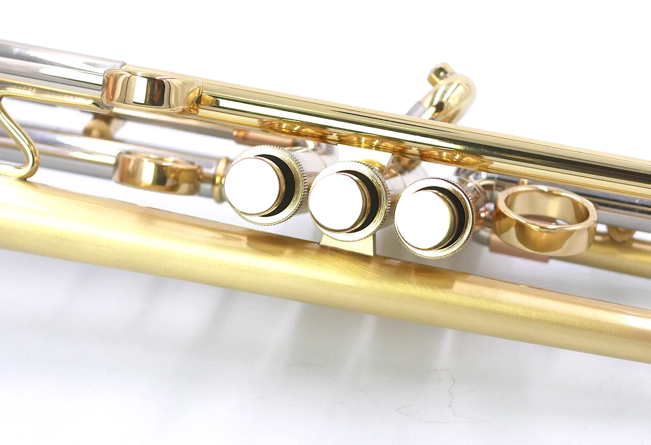 Taylor Tornado  Model handmade in the UK:  Incredible new offering