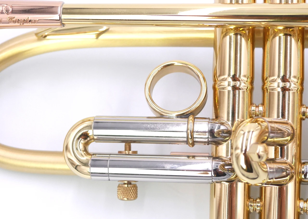 Taylor Tornado  Model handmade in the UK:  Incredible new offering