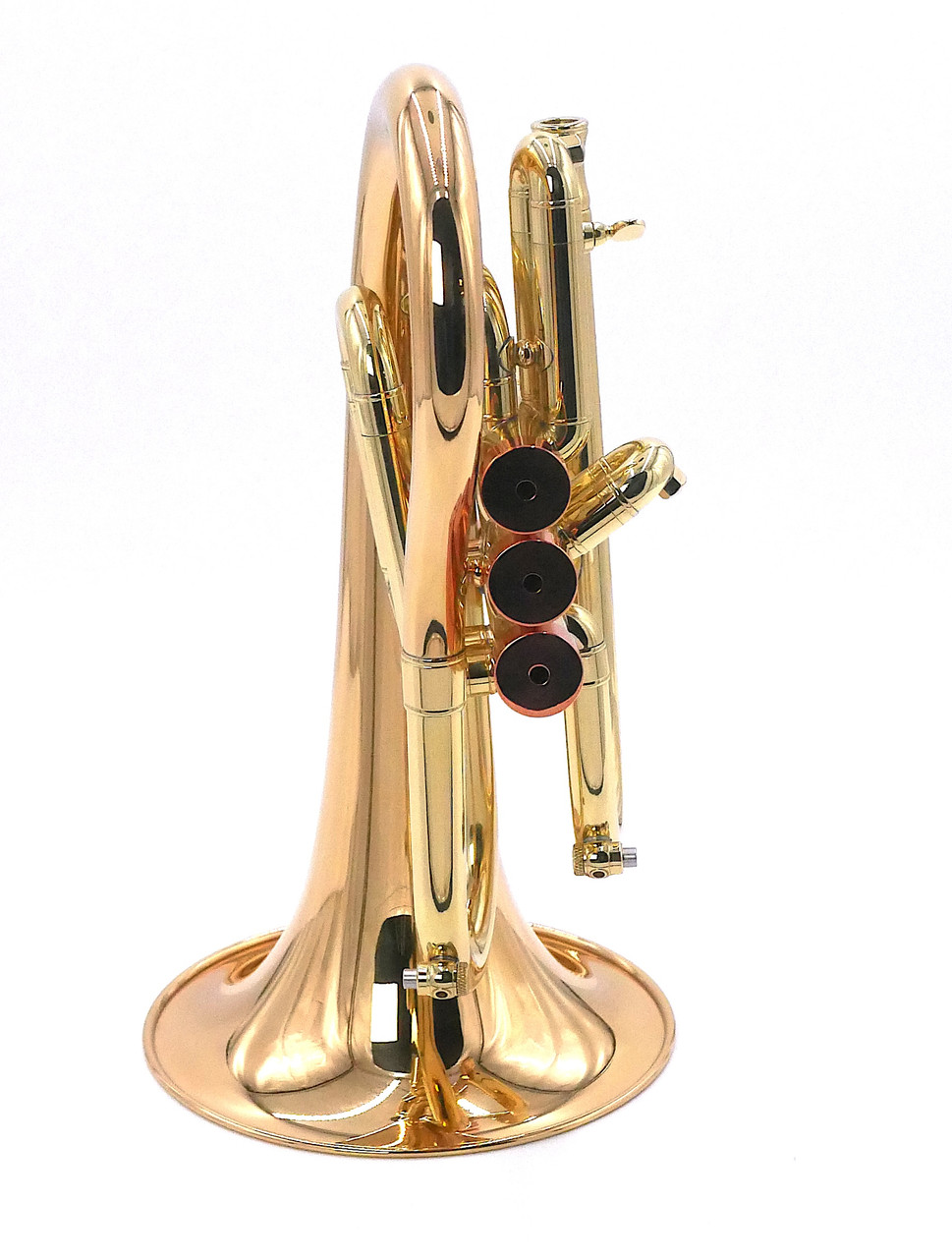 Carolbrass Phat Puppy