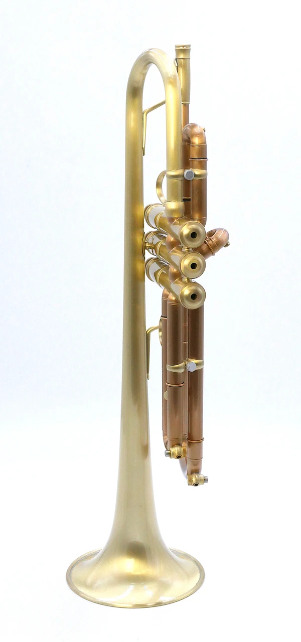 Full Satin beauty:  CarolBrass   Trumpet CTR-4340L-YLT-SL (yellow brass bell)